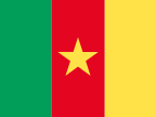 Cameroon takım logosu