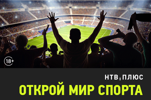 ntvplus.tv